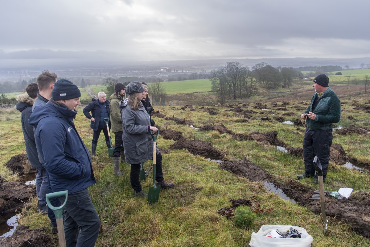 Cochno Farm Tree Planting - tree planting demo