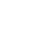 brain icon