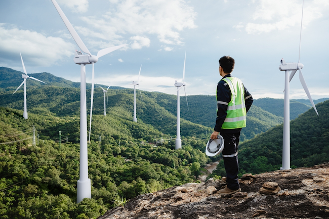 A picture of a figure on a hillside overlooking wind turbines