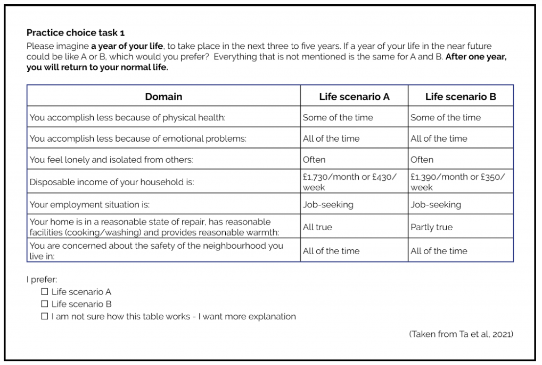 Example of practice questions given to the survey respondents: Shows a question over a three column table headed Domain, Life Scenario A, Life Scenario B above written details and respondents are invited to select the option they prefer. 