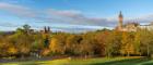 Gilbert Scott Building tower from the Kelvingrove Park