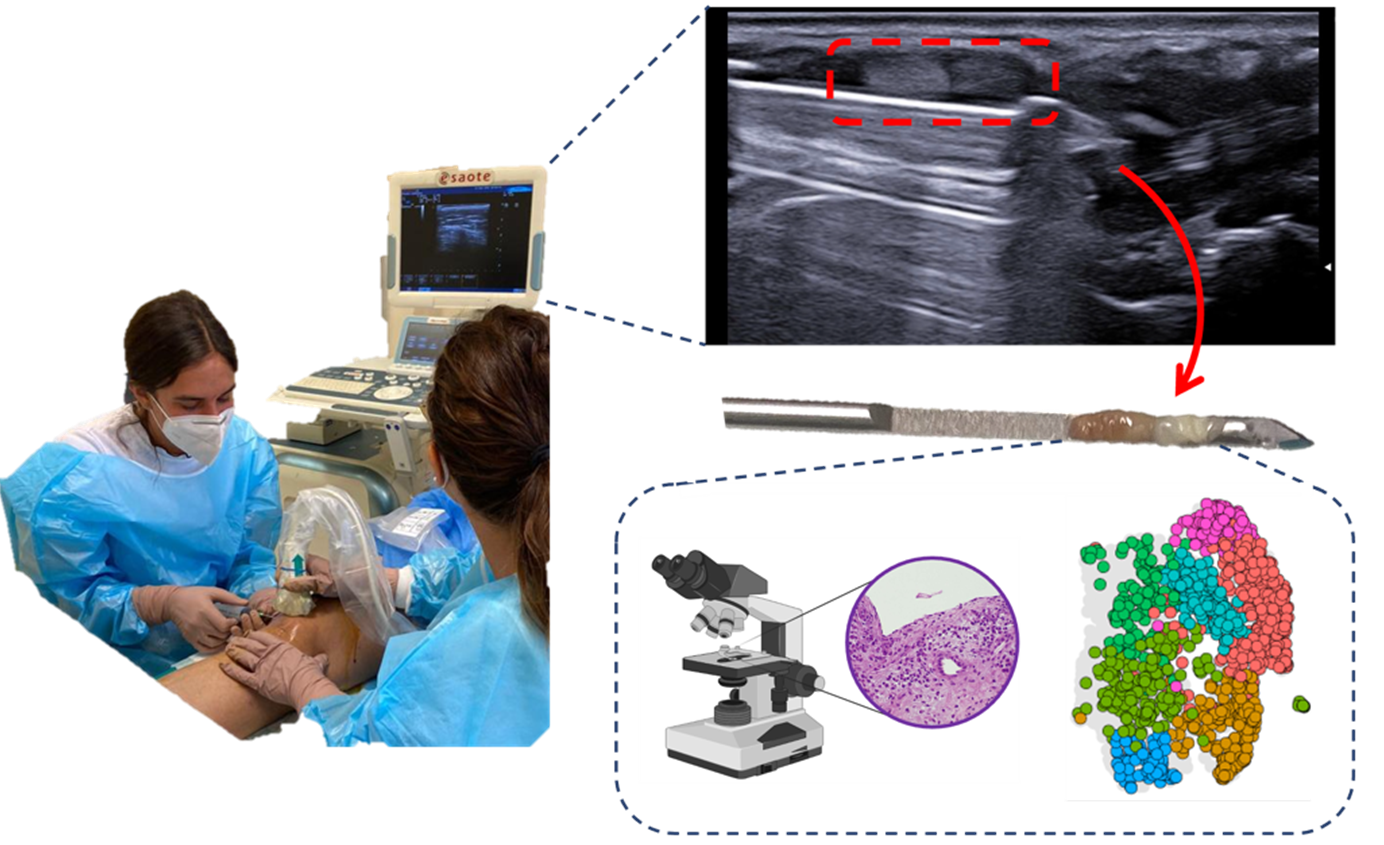 A figure with three images showing Dr Coletto's research interests