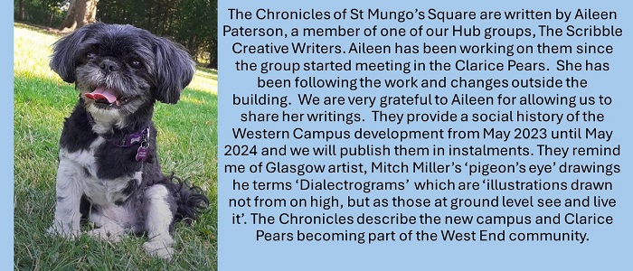 Maisie, the wee star dog mentioned in the opening instalment of ‘The Chronicle’s’.