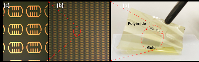 Terahertz metasurface biosensor