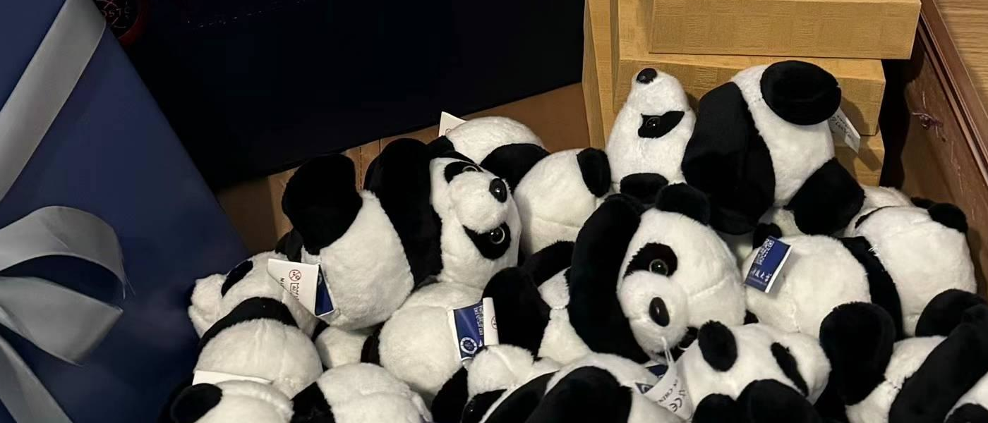 A collection of small toy pandas given as promotional gifts to students by UESTC
