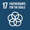 17 Partnerships for the Goals