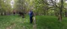 UofG researchers in a forest for the RESTORIED project