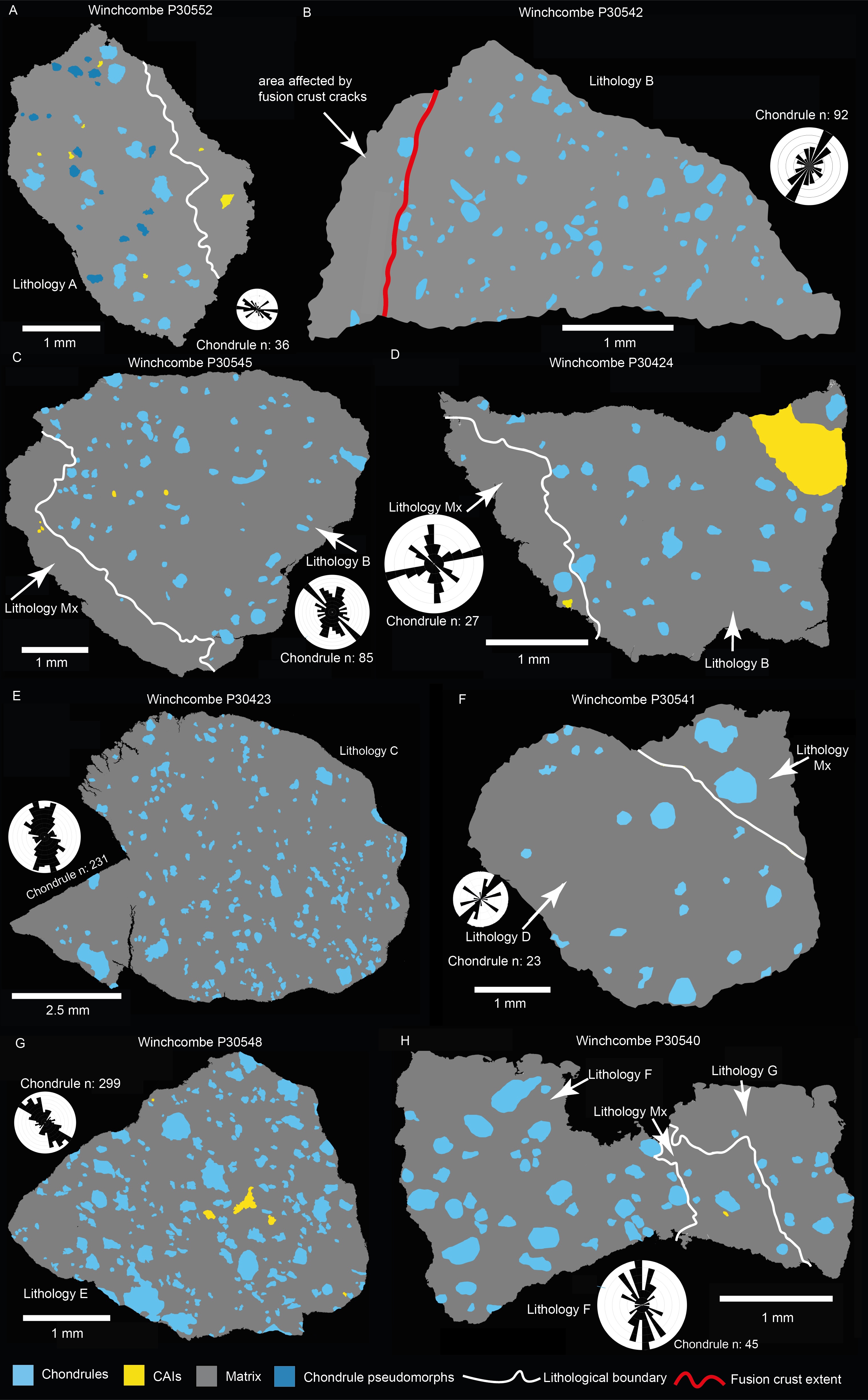 2D analysis of the preferred shape orientation of chondrules from SEM images of Winchcombe thin sections. A) P30552 (lithology A), B) P30542 (lithology B and fusion crust), C) P30545 (lithology B and Mx), D) P30424 (lithology B and Mx), E) P30423 (lithology C), F) P30541 (lithology D and Mx), G) P30548 (Lithology E). H) P30540 (lithology F, G and Mx). Chondrules and chondrule pseudomorphs are colo