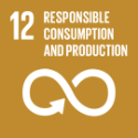 12 Responsible Consumption and Production