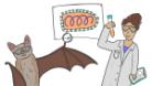 Cartoon style figure of a bat pointing at a drawing of a virus and a scientists in a white lab coat holding a test tube. 