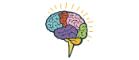 Cartoon image of a brain with different sections in different colours.