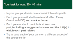Slide explaining the group task