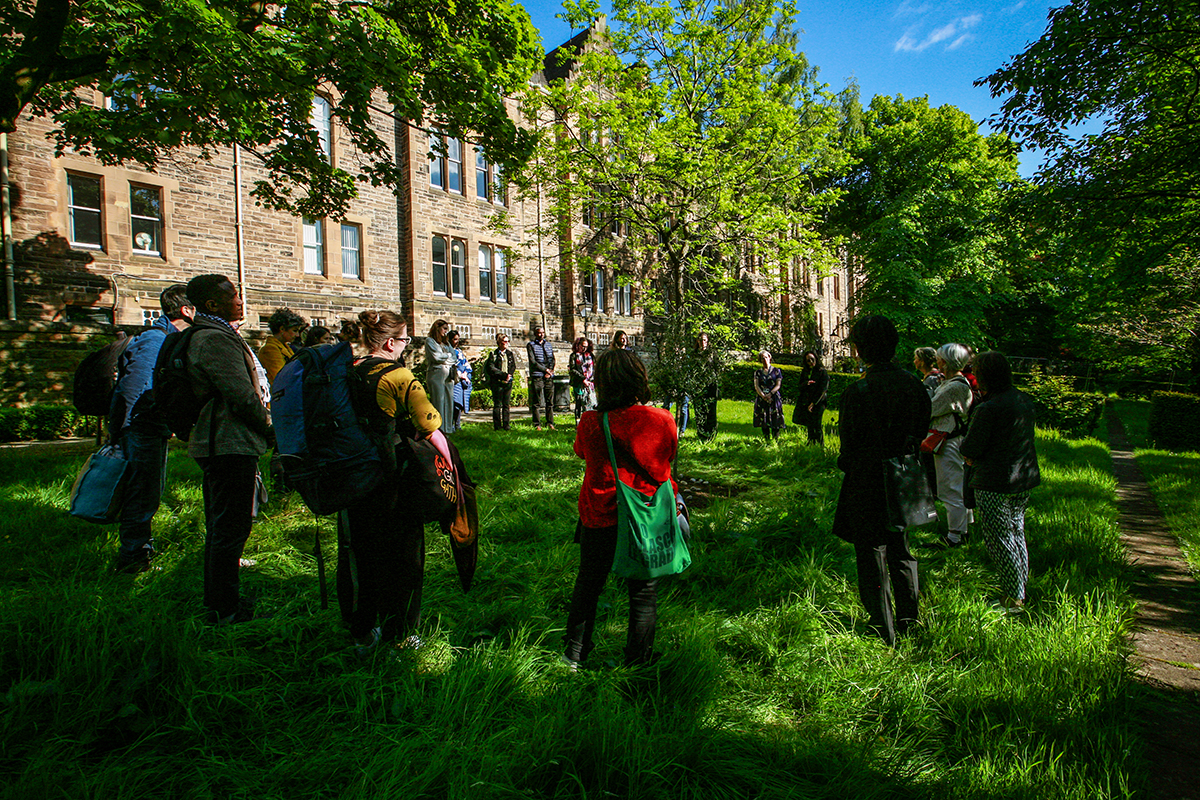 Colleagues gathered around the olive tree