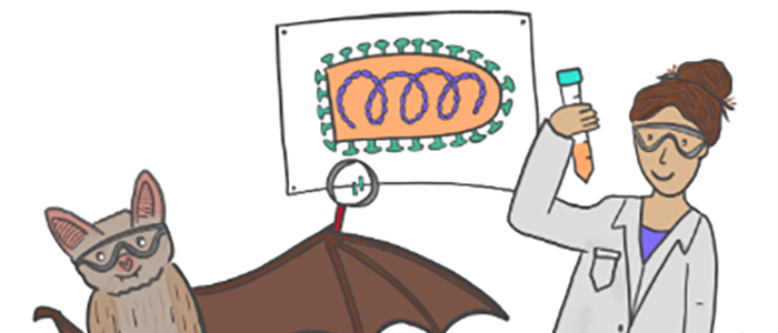 image of a cartoon bat, a scientist and a diagram of RNA