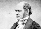 Charles Darwin (thumbnail)