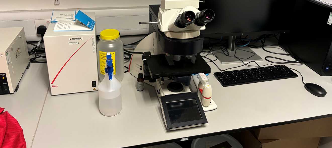 leica motorised microscope
