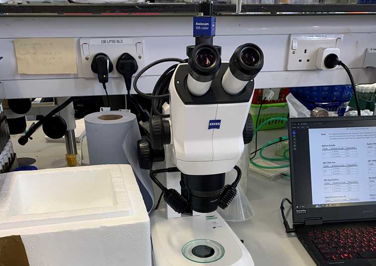 STEREO MICROSCOPE