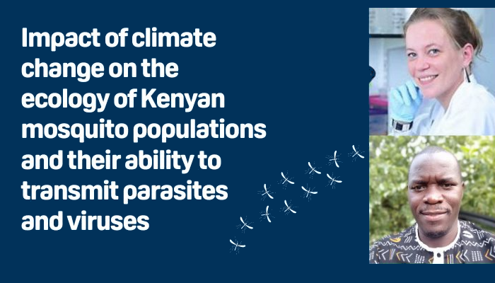 A graphic set to a navy blue background with text explaining the project beside cartoon-style mosquitoes and photographs of Dr Pondeville and her co-PI