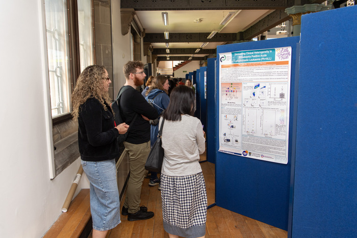 staff looking at posters