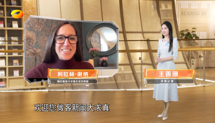 A still from the television interview in which Professor Sheiner is shown inset with host Wang Shanshan stood in a studio, facing Lilach