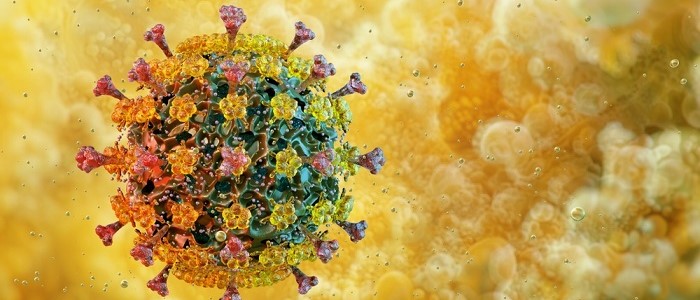 Image of an avian flu H5N1 particle