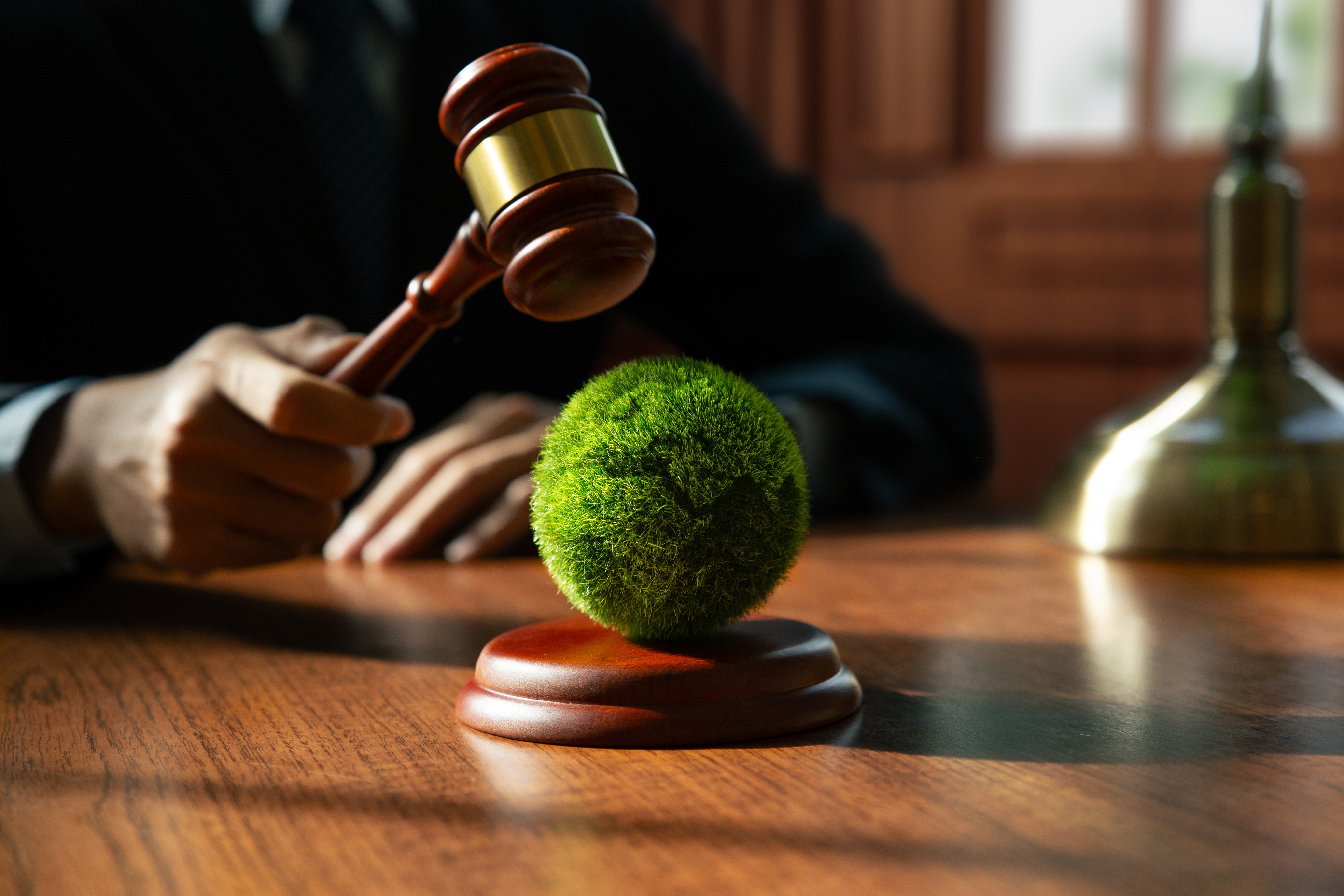 World Law Gavel Desk