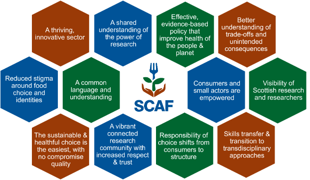 SCAF Hexagon Infographic - December newsletter and blog