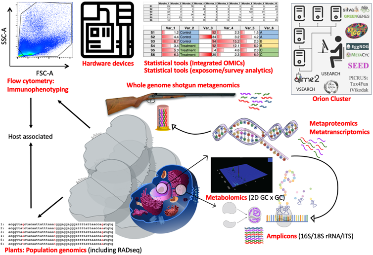 diagram detailing the whole genome shotgun metagenomics