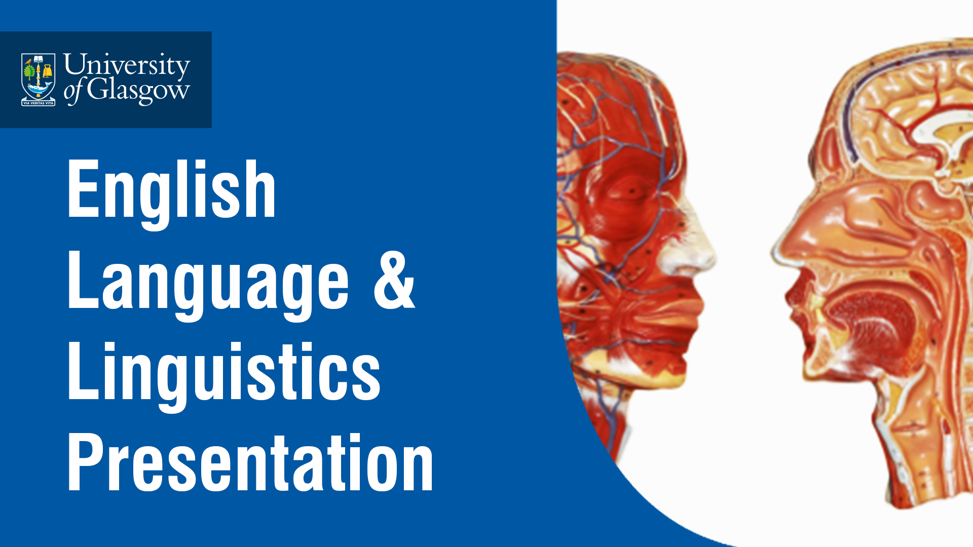 English Language & Linguistics Presentation