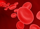 red blood cells