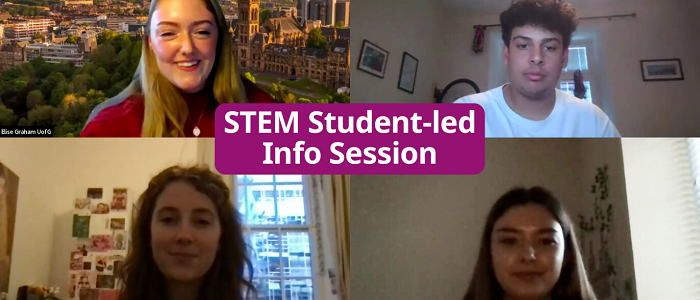 Screenshot of student led info session video call