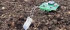 The prototype biodegradable sensor the team have developed is on the left of the image, partially submerged in the soil. The reusable electronics which will help enable digital agriculture readings are connected by wires