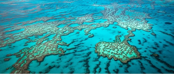 Aerial image of the great barrier reef