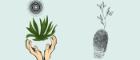 Open hands with a plant, fingerprint with a growing shoot
