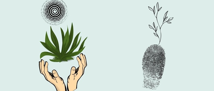 Open hands with a plant, fingerprint with a growing shoot