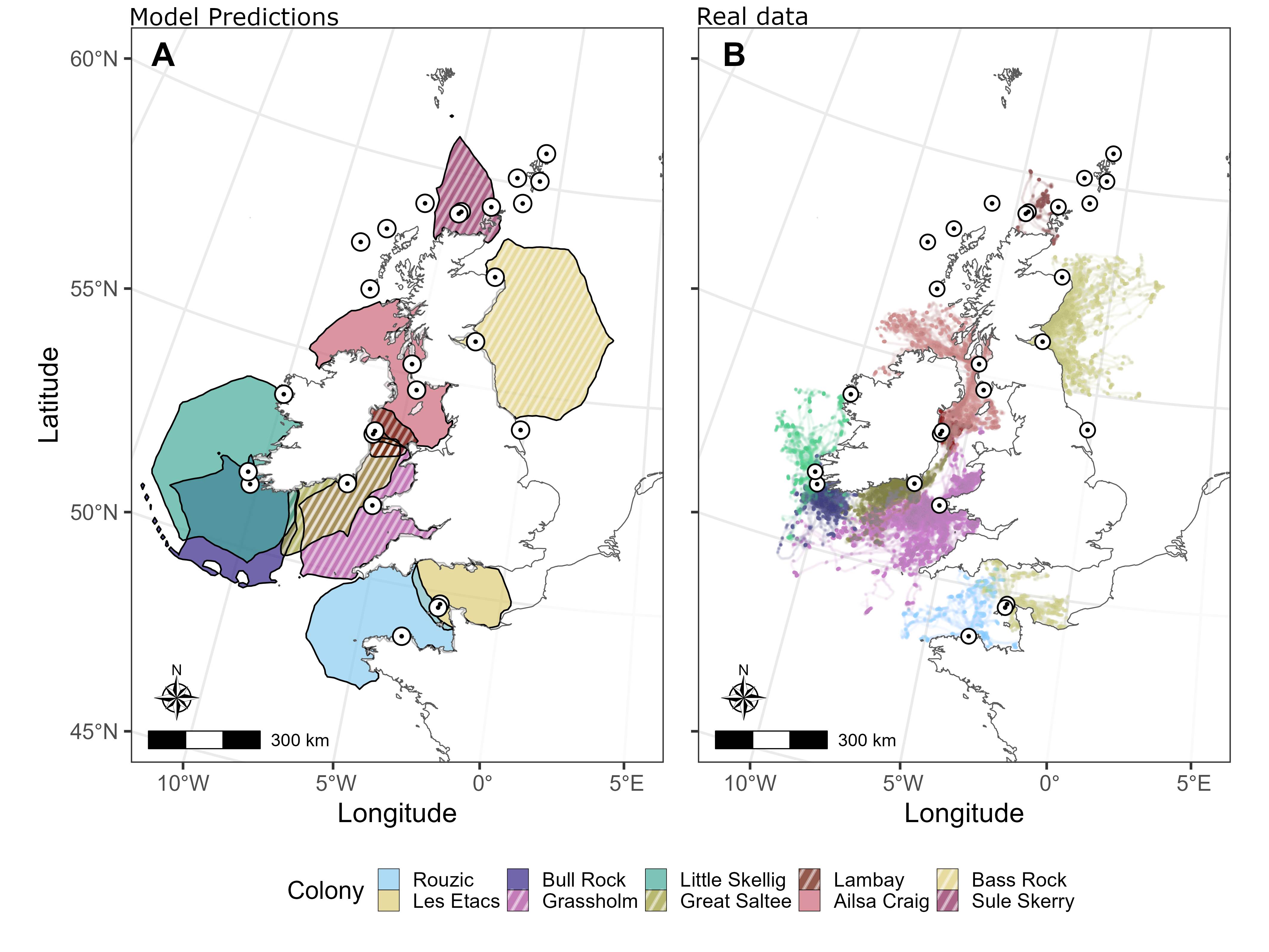 Image depicting seabird model predictions compared to the actual data