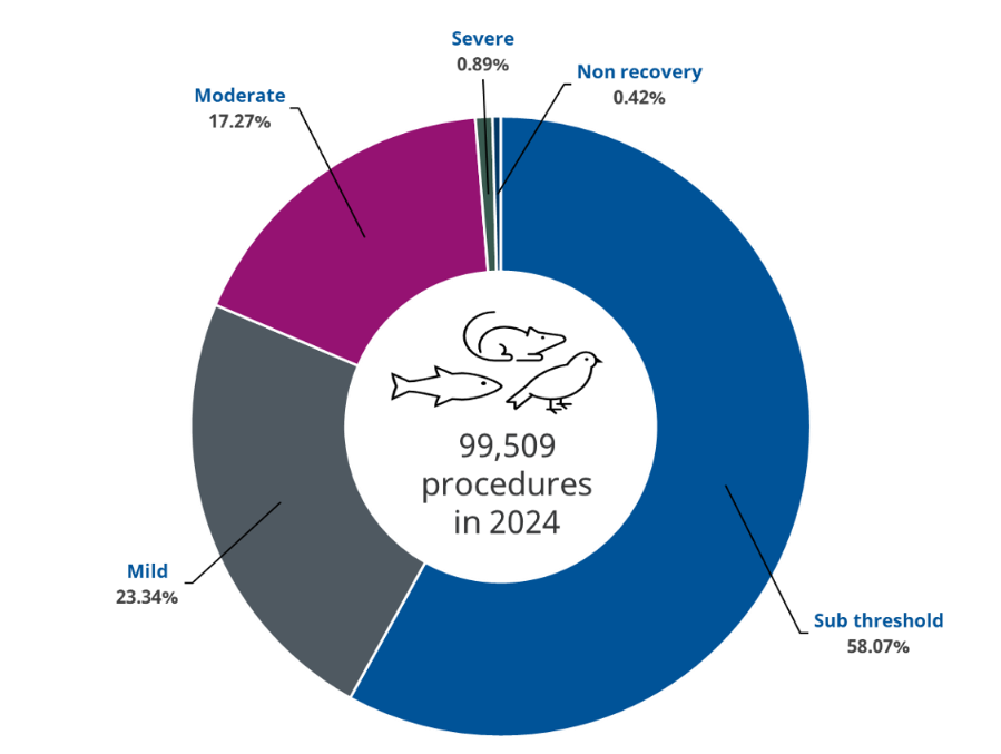 a graph showing severity in animal procedures for 2024. 58.07% sub threshold, 23.34% mild, 17.27% moderate, 0.89% severe, 0.42% non recovery