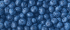 Close-up of blueberries