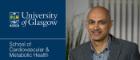 Professor Naveed Sattar