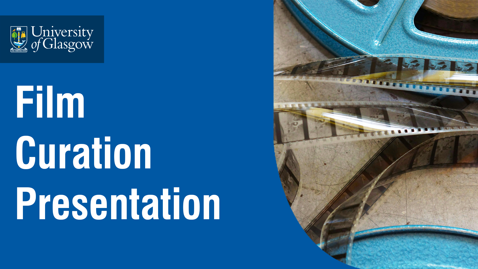 Film Curation