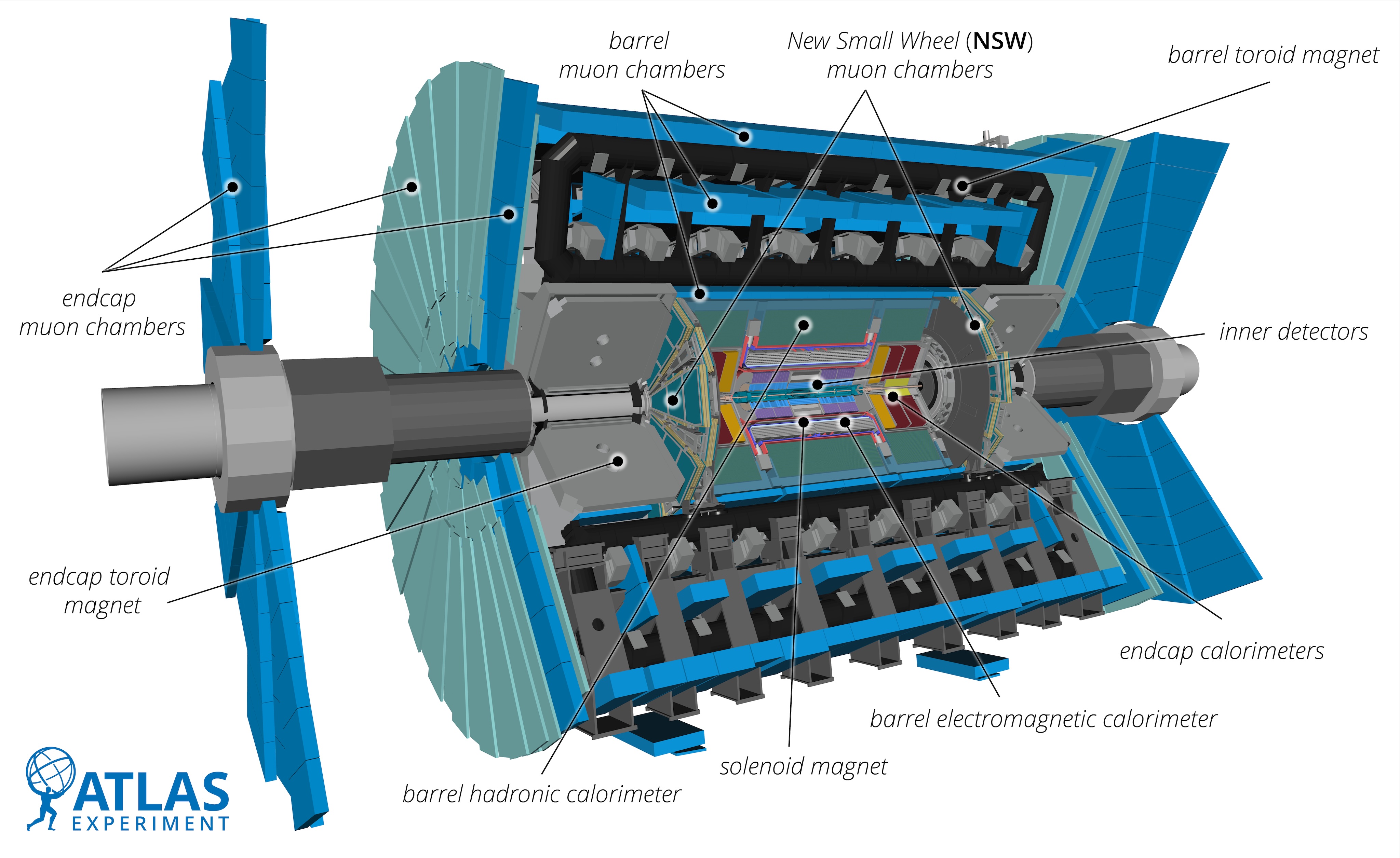 winners of breakthrough prize in fundamental physics