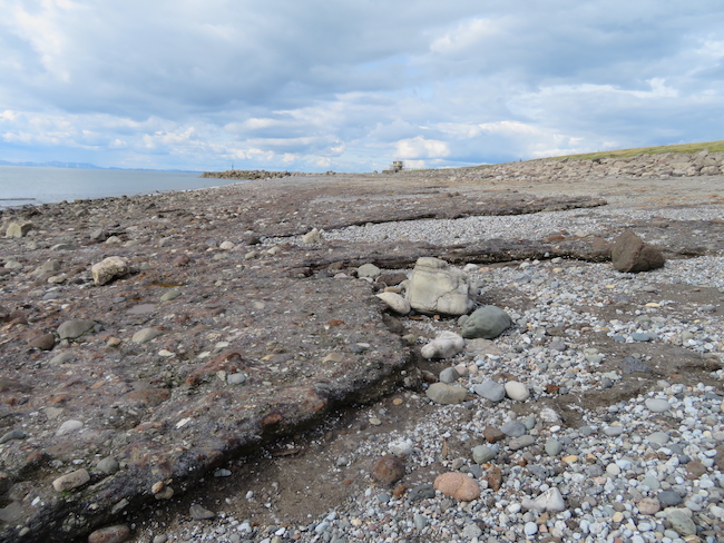 A photograph of rocky deposits on the Derwent Howe shore