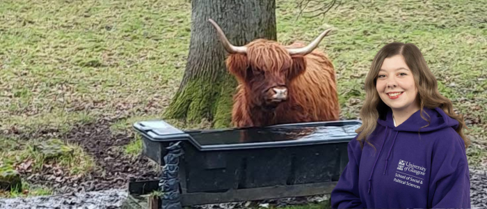 Highland cow with a headshot of a smiling woman