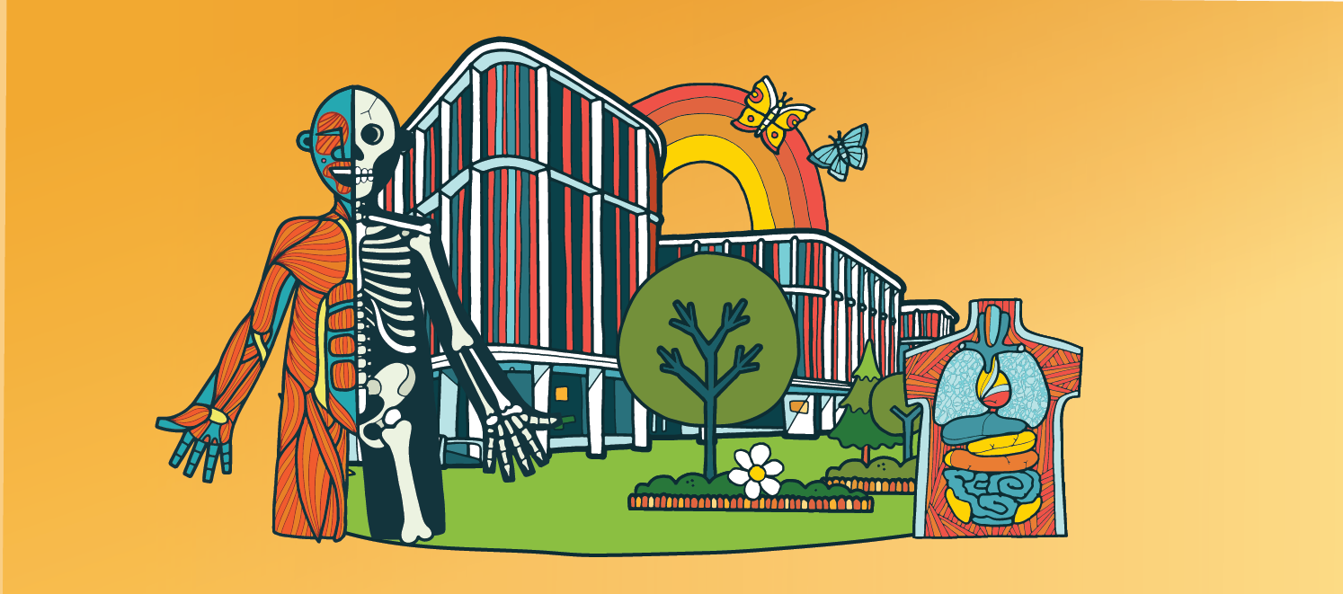 Cartoon image of the ARC building with images of muscles, internal organs and skeletons.