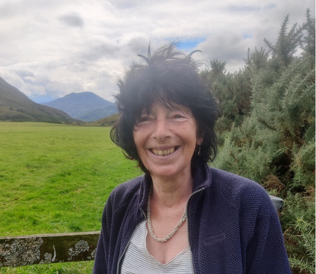 Professor Karen Hardy Professor Karen Hardy