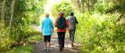 Three older women walking on a tree lined path