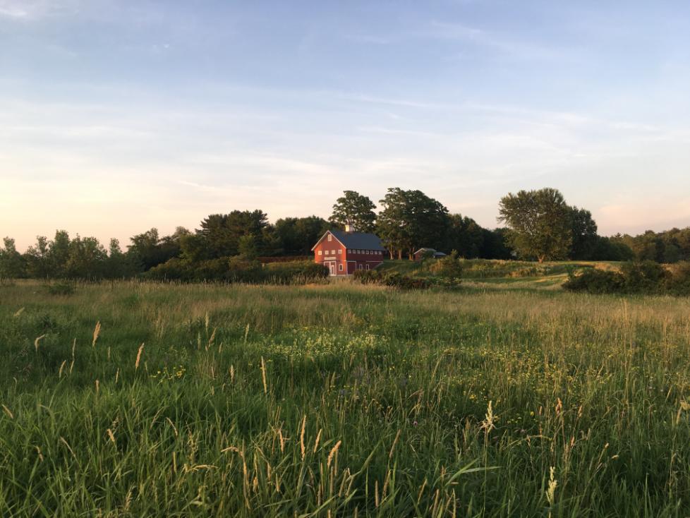 A single red farm building in a rural field of the USA