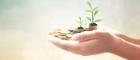 Hands holding coins and plants