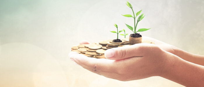 Hands holding coins and plants