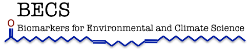 BECS logo text on white background
